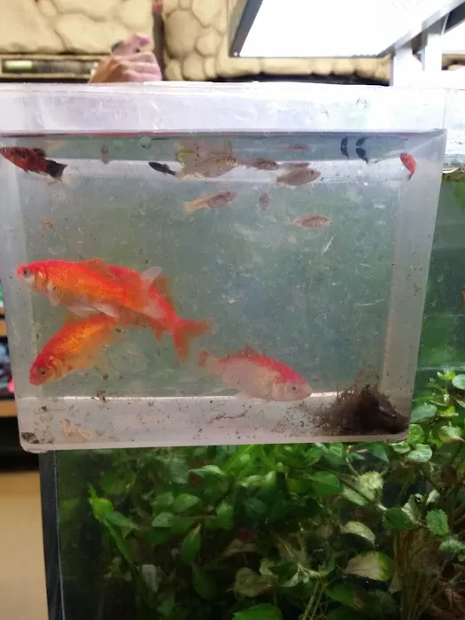 Petco Picture 1