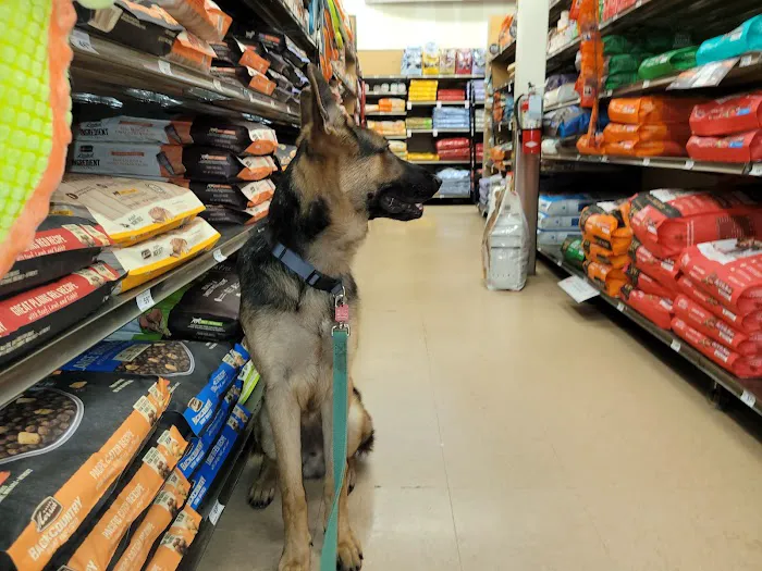Petco Picture 3