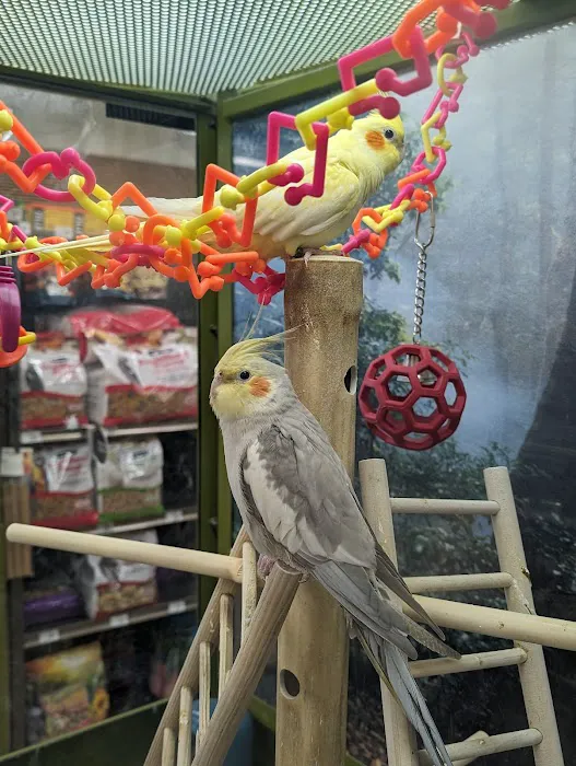 Petco Picture 8