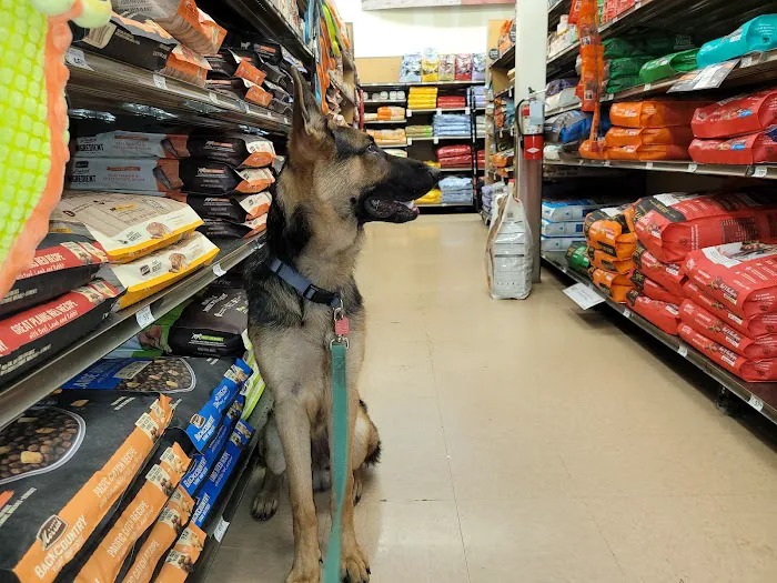 Petco Picture 4