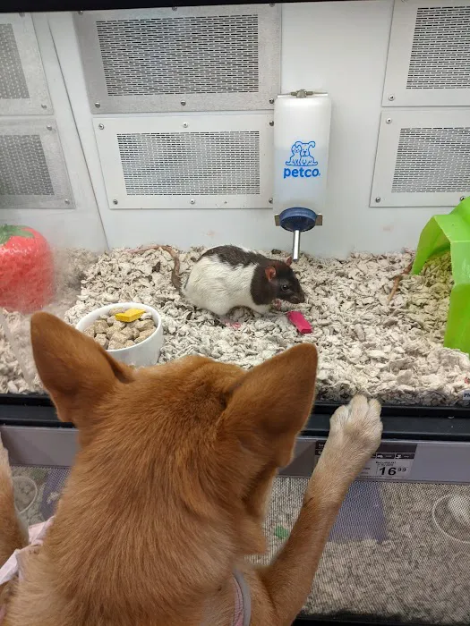 Petco Picture 6
