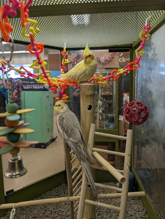 Petco Picture 5