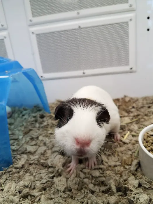 Petco Picture 10
