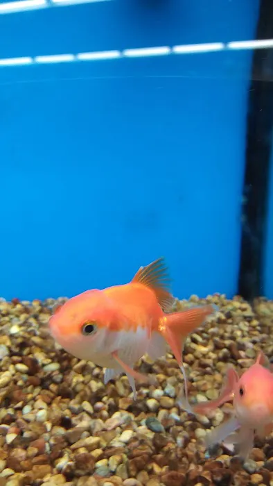 Petco Picture 9