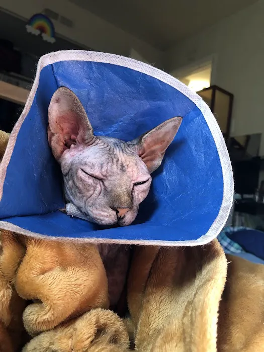 Gambrills Veterinary Center Picture 5