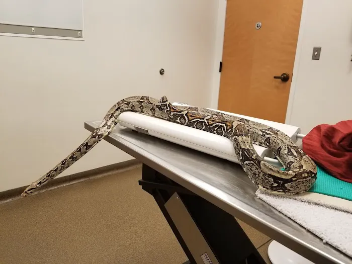 Gambrills Veterinary Center Picture 8