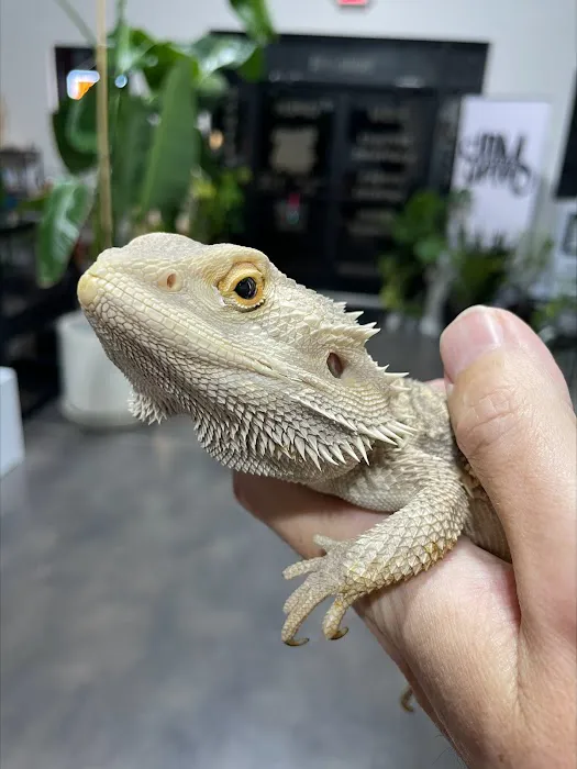 Amazing Animal Adventures Exotic Pet Shop Picture 1