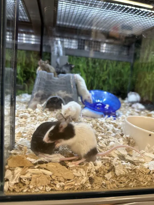 Petco Picture 1