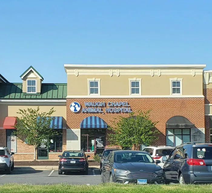 Waugh Chapel Animal Hospital Picture 2