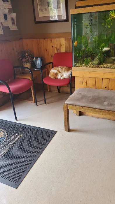 Waugh Chapel Animal Hospital Picture 5