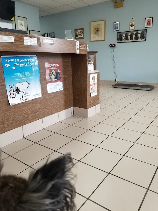 Glenn Dale Veterinary Clinic Picture 2
