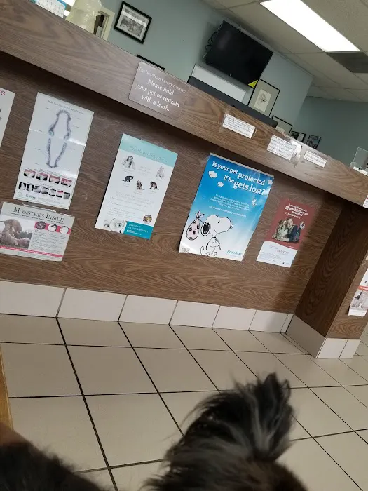 Glenn Dale Veterinary Clinic Picture 3