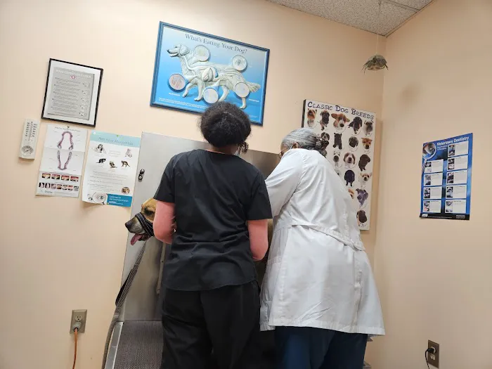 Glenn Dale Veterinary Clinic Picture 4