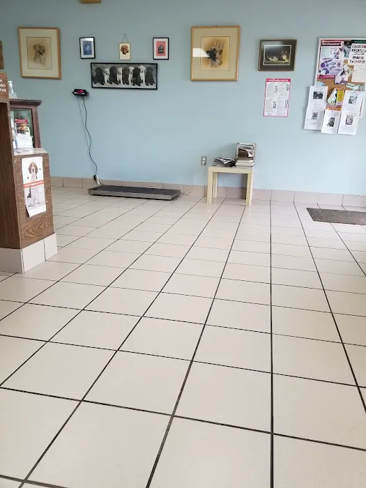 Glenn Dale Veterinary Clinic Picture 6