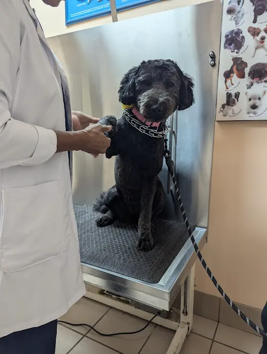Glenn Dale Veterinary Clinic Picture 7