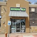 Gecko World Austin