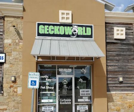 Gecko World Austin