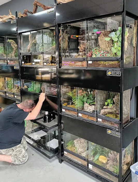 Gecko World Austin Picture 3
