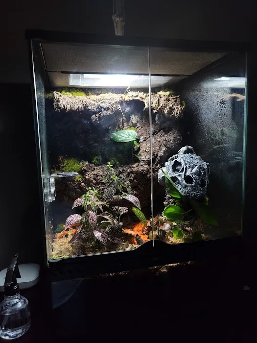 Gecko World Austin Picture 10