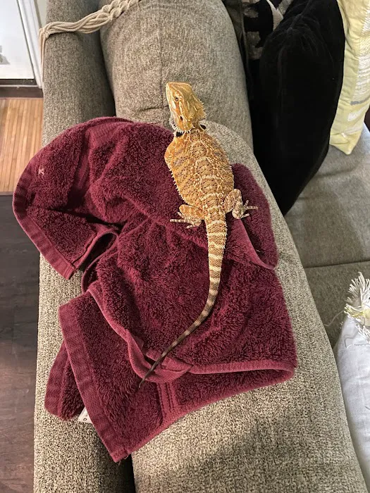 Gecko World Austin Picture 9
