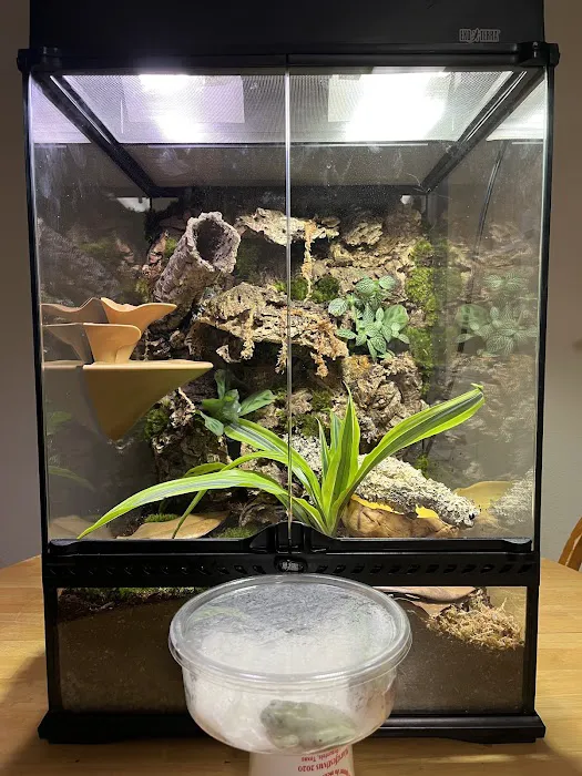 Gecko World Austin Picture 7