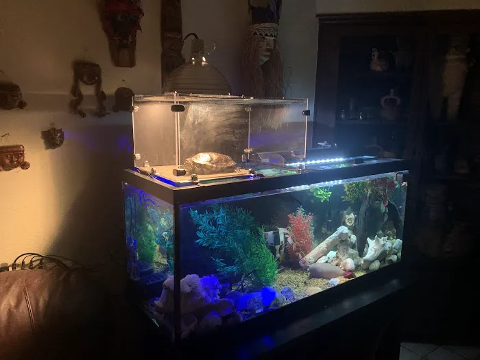 Gecko World Austin Picture 6