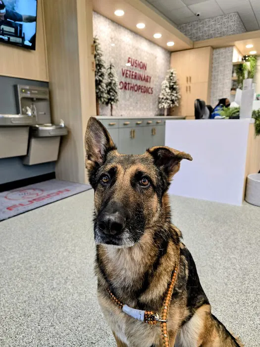 Fusion Veterinary Orthopedics Picture 10