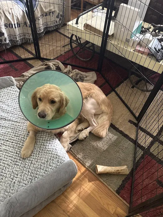 Fusion Veterinary Orthopedics Picture 9