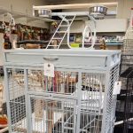 Gallery of Pets