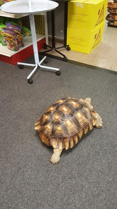 Gallery of Pets Picture 2