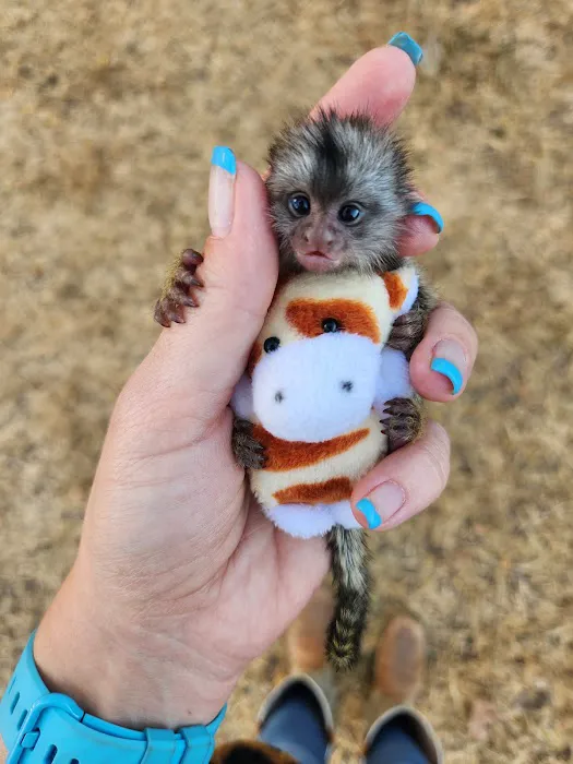Janda Exotics Animal Ranch Picture 2