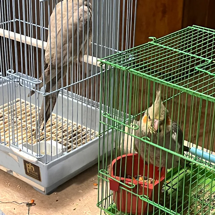 CS Bird Aviary Farm & More Picture 10