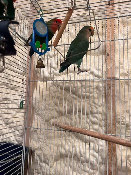 CS Bird Aviary Farm & More Picture 2