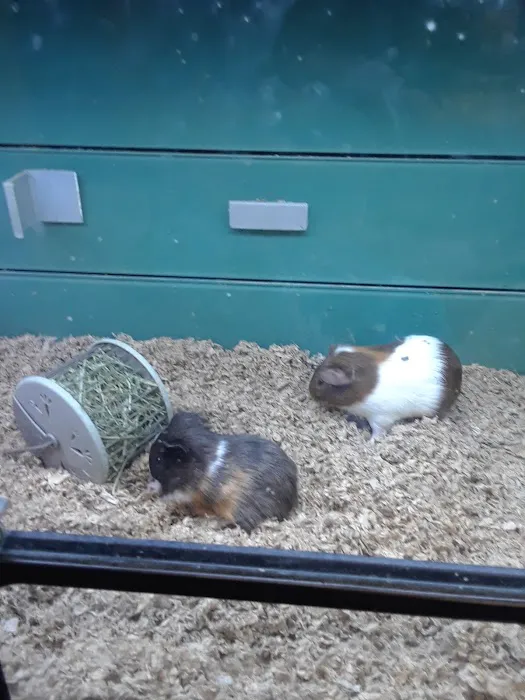 Pet Supplies Plus Seguin Picture 3