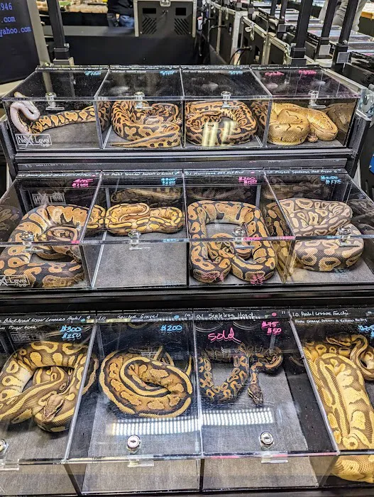 Texas Reptile Expos Picture 1