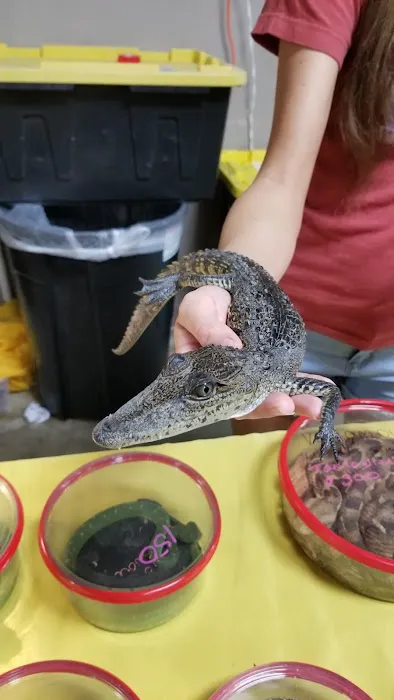 Texas Reptile Expos Picture 4