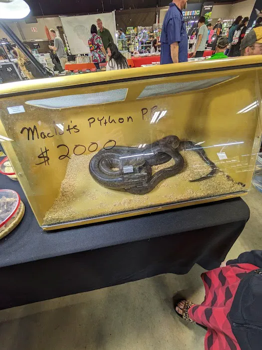 Texas Reptile Expos Picture 6