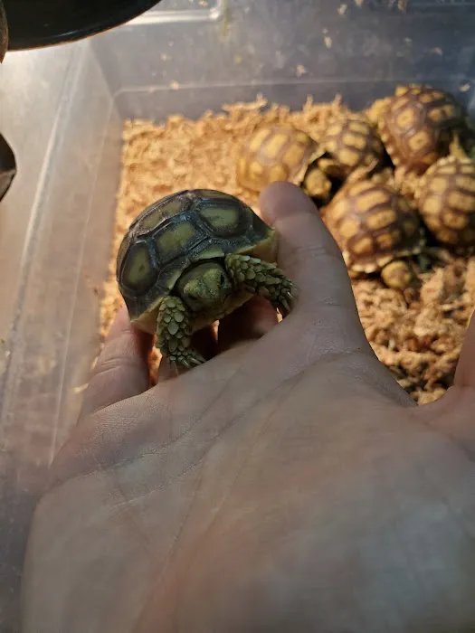 Texas Reptile Expos Picture 7