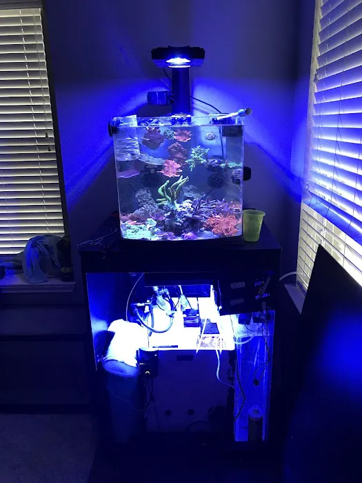 CenTex Reefers “Affordable Aquarium Maintenance, Service & Care” Picture 1