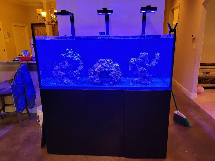 CenTex Reefers “Affordable Aquarium Maintenance, Service & Care” Picture 3