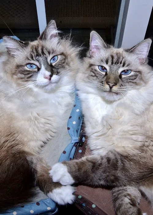 Banfield Pet Hospital Picture 2