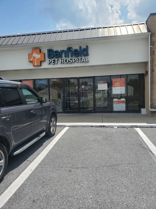 Banfield Pet Hospital Picture 6