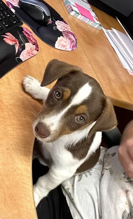 Banfield Pet Hospital Picture 7