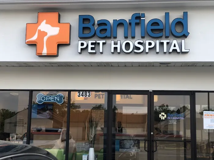 Banfield Pet Hospital Picture 8
