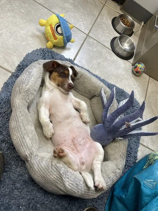 Banfield Pet Hospital Picture 10