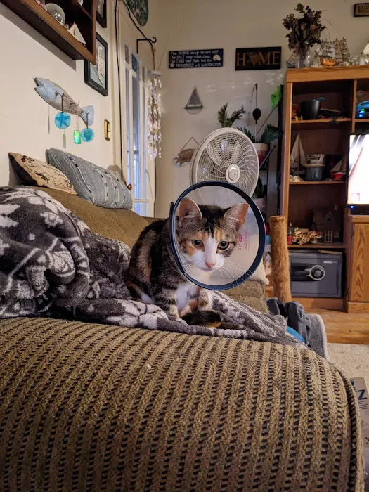 Pocomoke Animal Hospital Picture 5