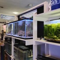 Water Garden Gems Garden Center ico