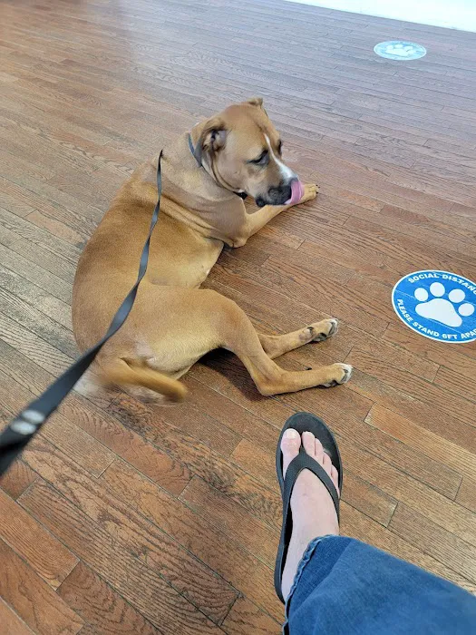 Layfield Veterinary Services - Pocomoke Branch Picture 6