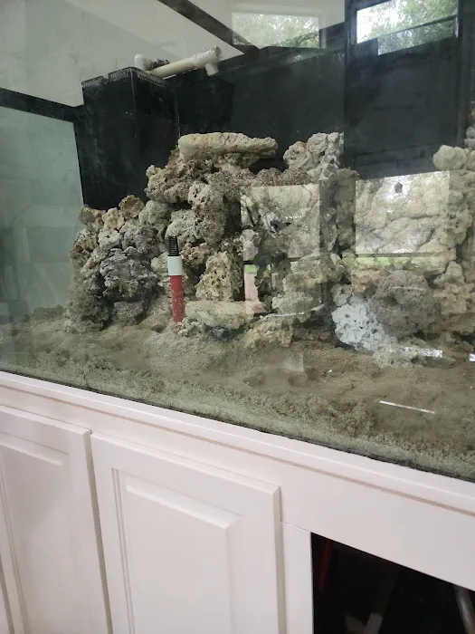 Reklaw Reef Picture 4