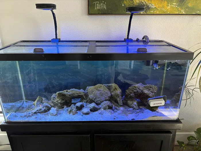 Reklaw Reef Picture 2